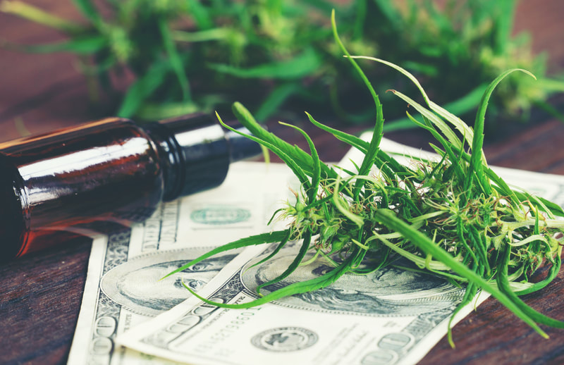 plants with money and oil 