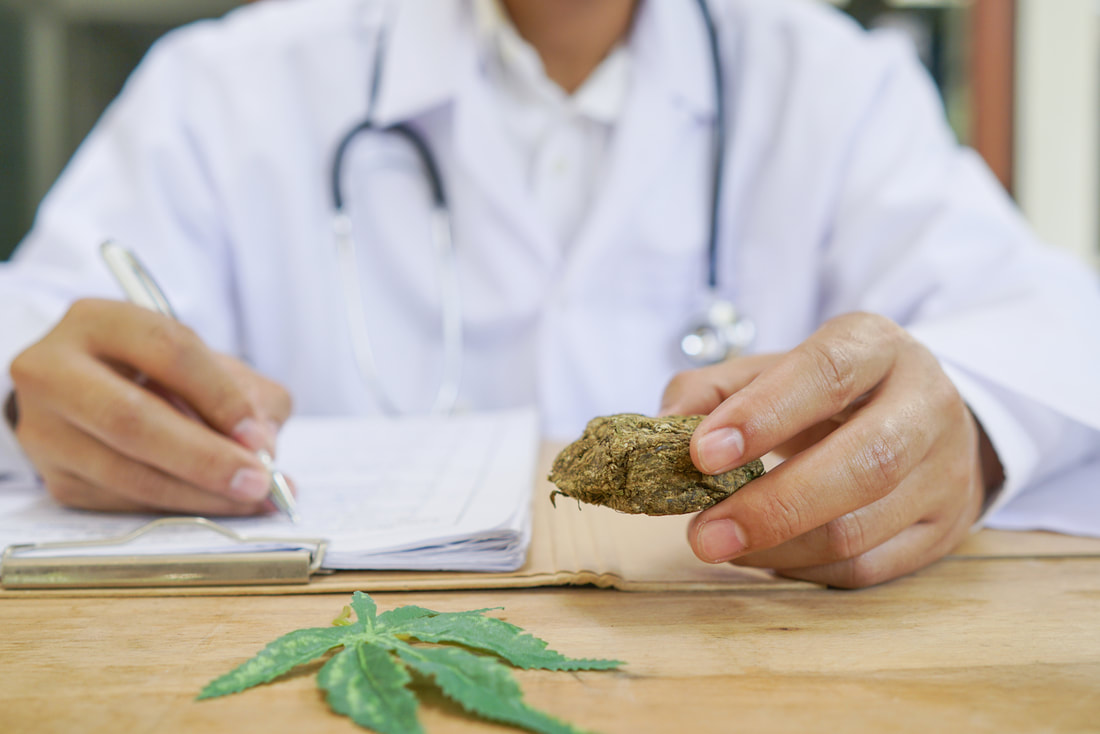 doctor holding a marijuana 